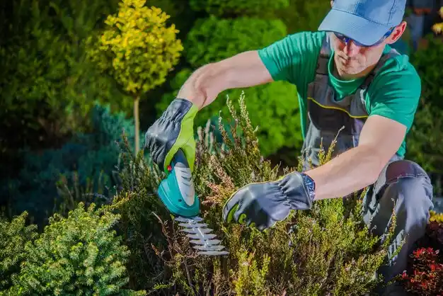 landscaping services Pigeon